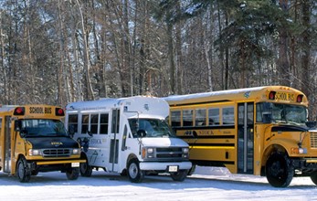 Stock Transportation buses, Canada